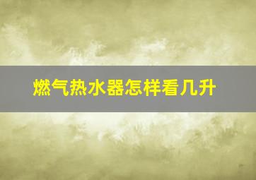 燃气热水器怎样看几升