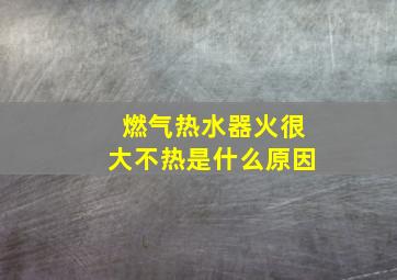 燃气热水器火很大不热是什么原因