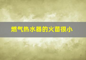 燃气热水器的火苗很小