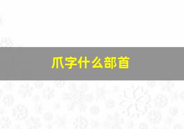 爪字什么部首