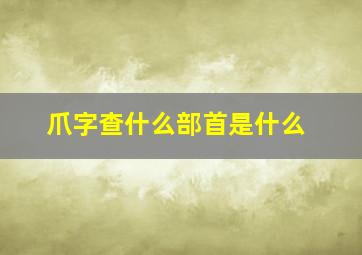 爪字查什么部首是什么