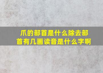 爪的部首是什么除去部首有几画读音是什么字啊