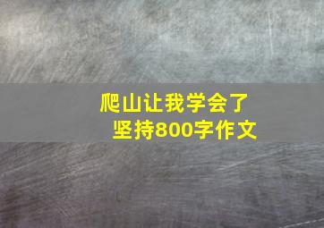 爬山让我学会了坚持800字作文