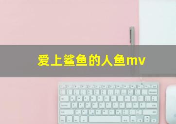 爱上鲨鱼的人鱼mv