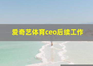 爱奇艺体育ceo后续工作