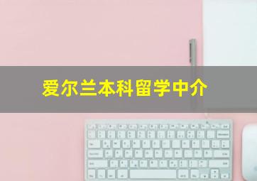 爱尔兰本科留学中介