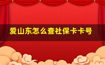 爱山东怎么查社保卡卡号