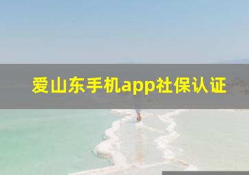 爱山东手机app社保认证