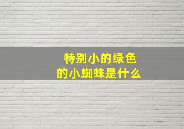 特别小的绿色的小蜘蛛是什么