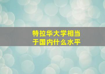 特拉华大学相当于国内什么水平