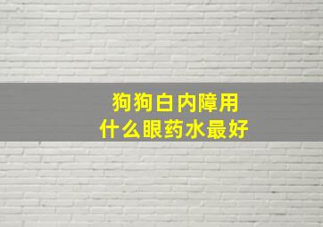 狗狗白内障用什么眼药水最好