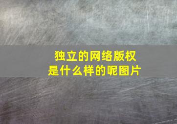 独立的网络版权是什么样的呢图片