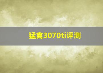 猛禽3070ti评测