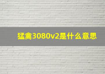 猛禽3080v2是什么意思