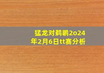 猛龙对鹈鹕2o24年2月6日tt赛分析