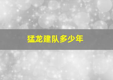 猛龙建队多少年