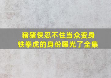 猪猪侠忍不住当众变身铁拳虎的身份曝光了全集