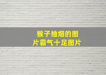 猴子抽烟的图片霸气十足图片