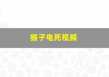 猴子电死视频