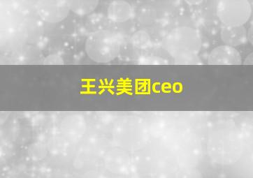 王兴美团ceo