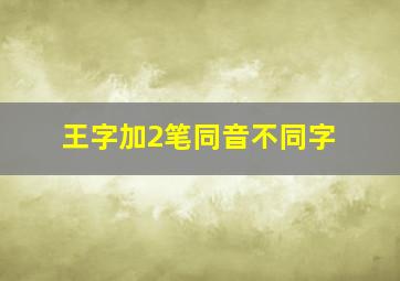 王字加2笔同音不同字