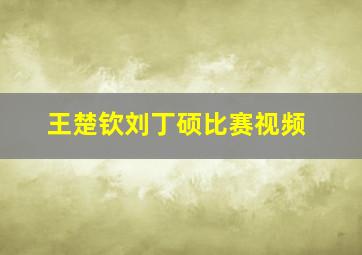 王楚钦刘丁硕比赛视频