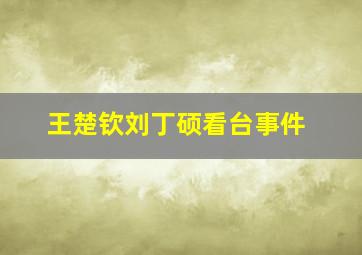 王楚钦刘丁硕看台事件