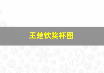 王楚钦奖杯图