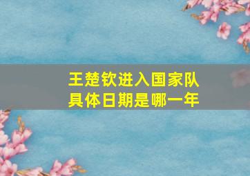 王楚钦进入国家队具体日期是哪一年