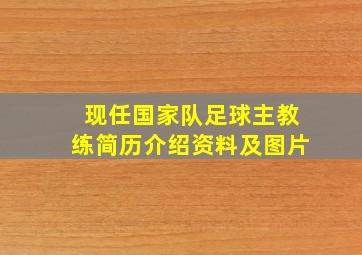 现任国家队足球主教练简历介绍资料及图片