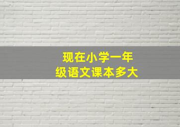 现在小学一年级语文课本多大