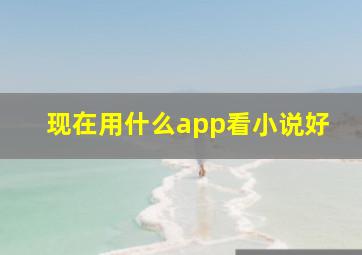 现在用什么app看小说好