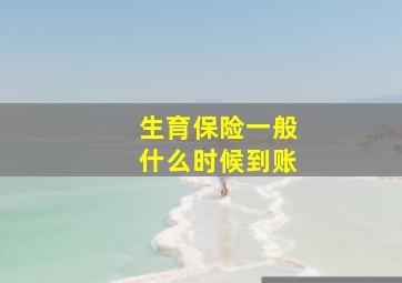 生育保险一般什么时候到账