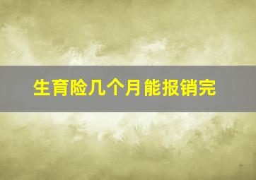 生育险几个月能报销完