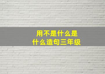 用不是什么是什么造句三年级