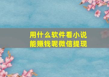 用什么软件看小说能赚钱呢微信提现