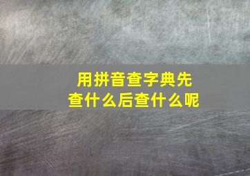 用拼音查字典先查什么后查什么呢