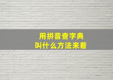 用拼音查字典叫什么方法来着