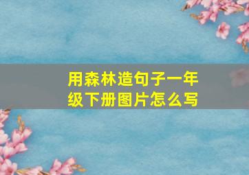 用森林造句子一年级下册图片怎么写