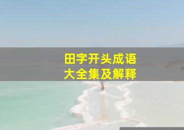 田字开头成语大全集及解释