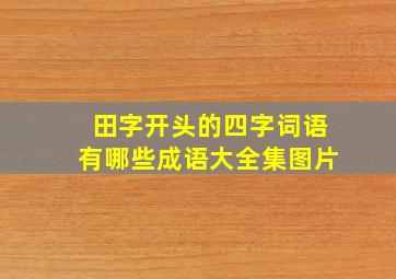 田字开头的四字词语有哪些成语大全集图片