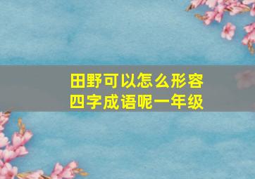 田野可以怎么形容四字成语呢一年级