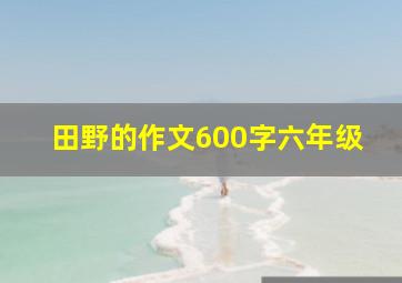 田野的作文600字六年级