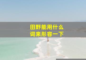 田野能用什么词来形容一下