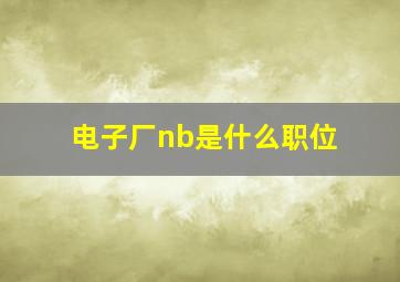 电子厂nb是什么职位