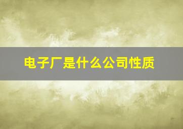 电子厂是什么公司性质