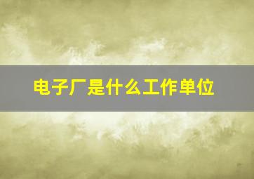 电子厂是什么工作单位