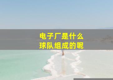 电子厂是什么球队组成的呢