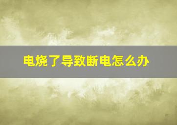 电烧了导致断电怎么办