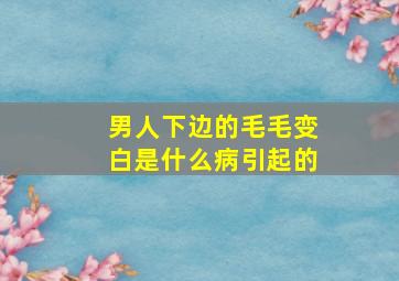 男人下边的毛毛变白是什么病引起的